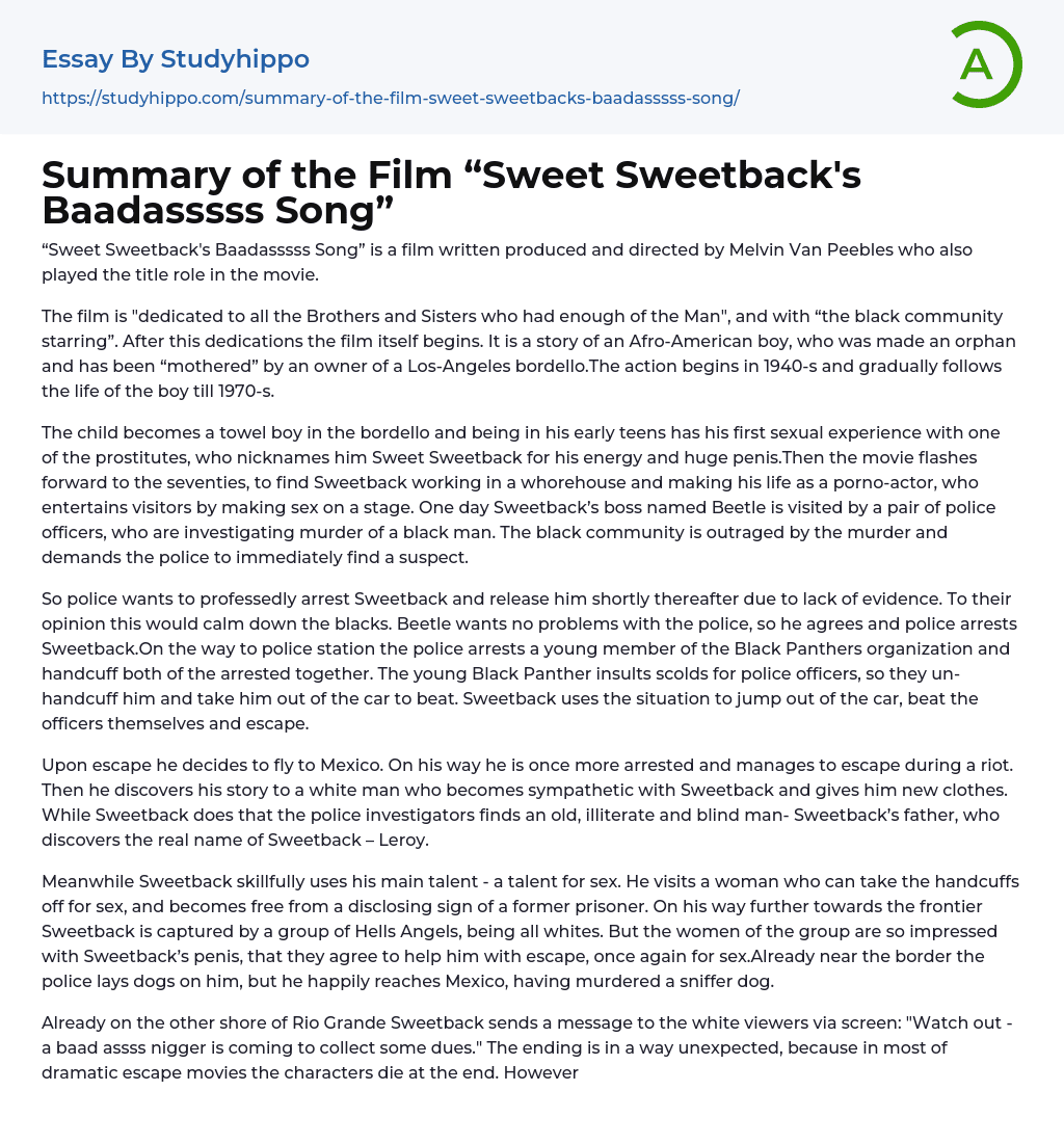 Summary of the Film “Sweet Sweetback’s Baadasssss Song” Essay Example