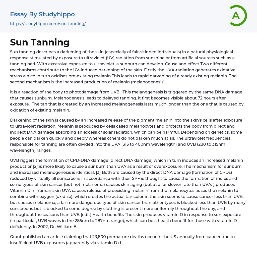 Sun Tanning Essay Example