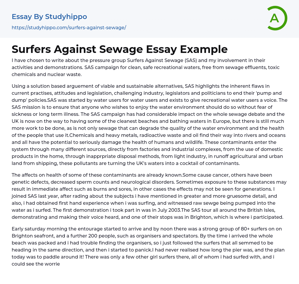 Surfers Against Sewage Essay Example