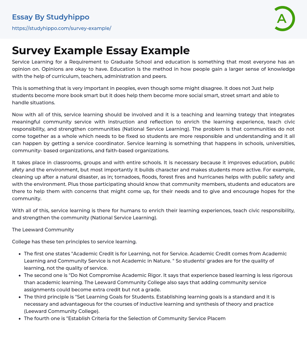 Survey Example Essay Example