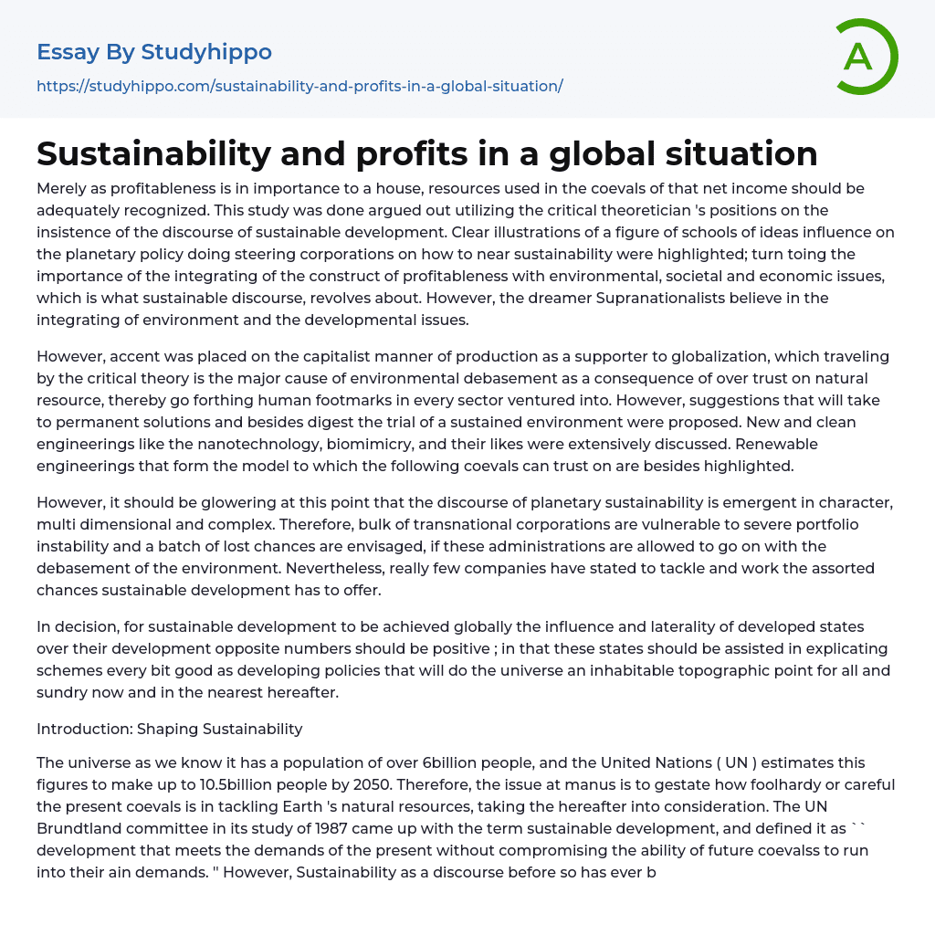 Sustainability and profits in a global situation Essay Example