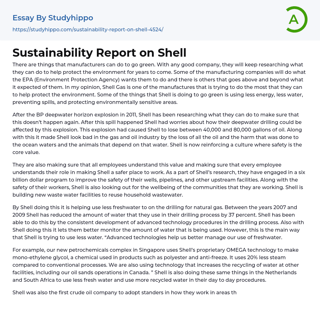 Sustainability Report on Shell Essay Example