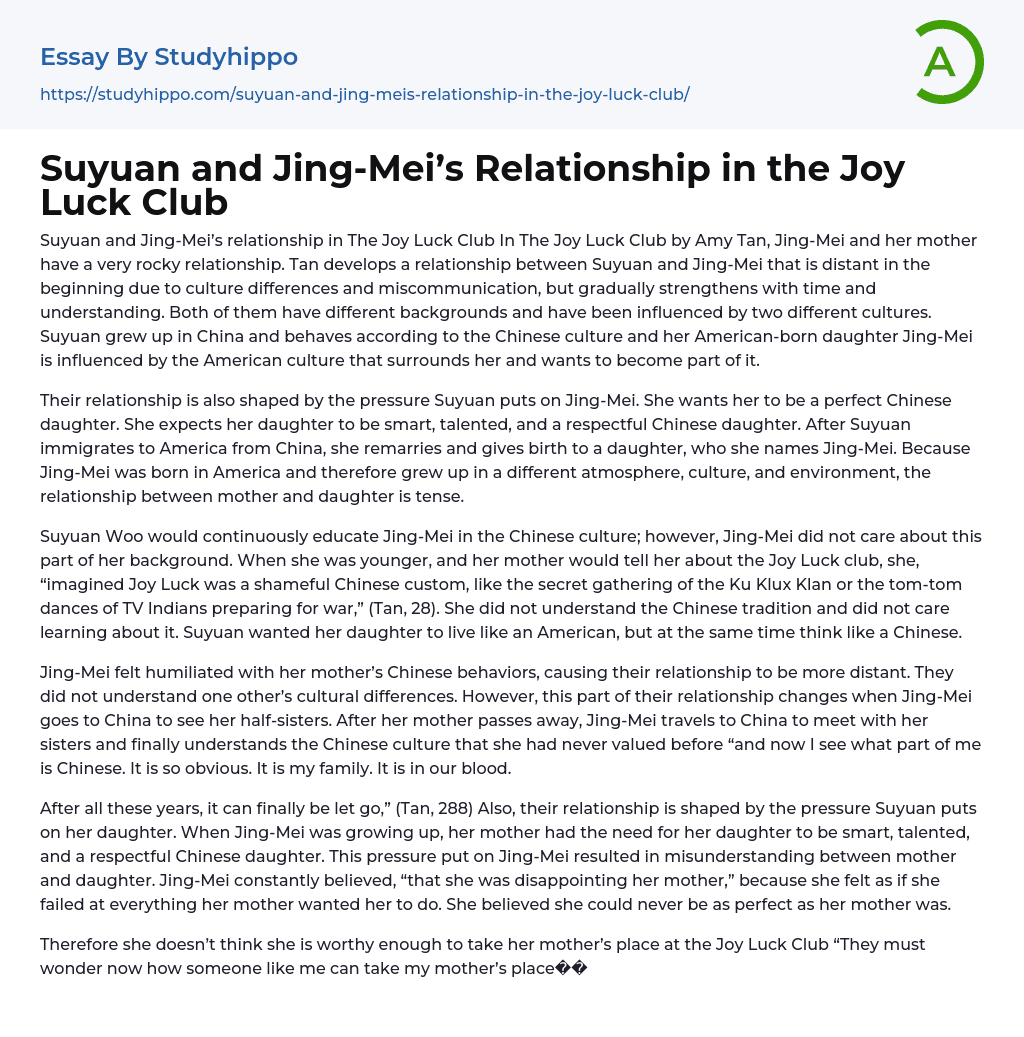 Suyuan and Jing-Mei’s Relationship in the Joy Luck Club Essay Example