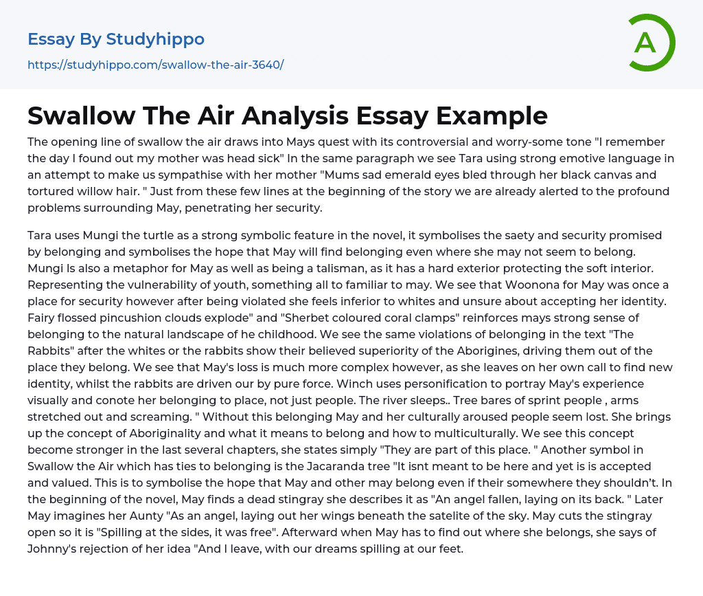 Swallow The Air Analysis Essay Example