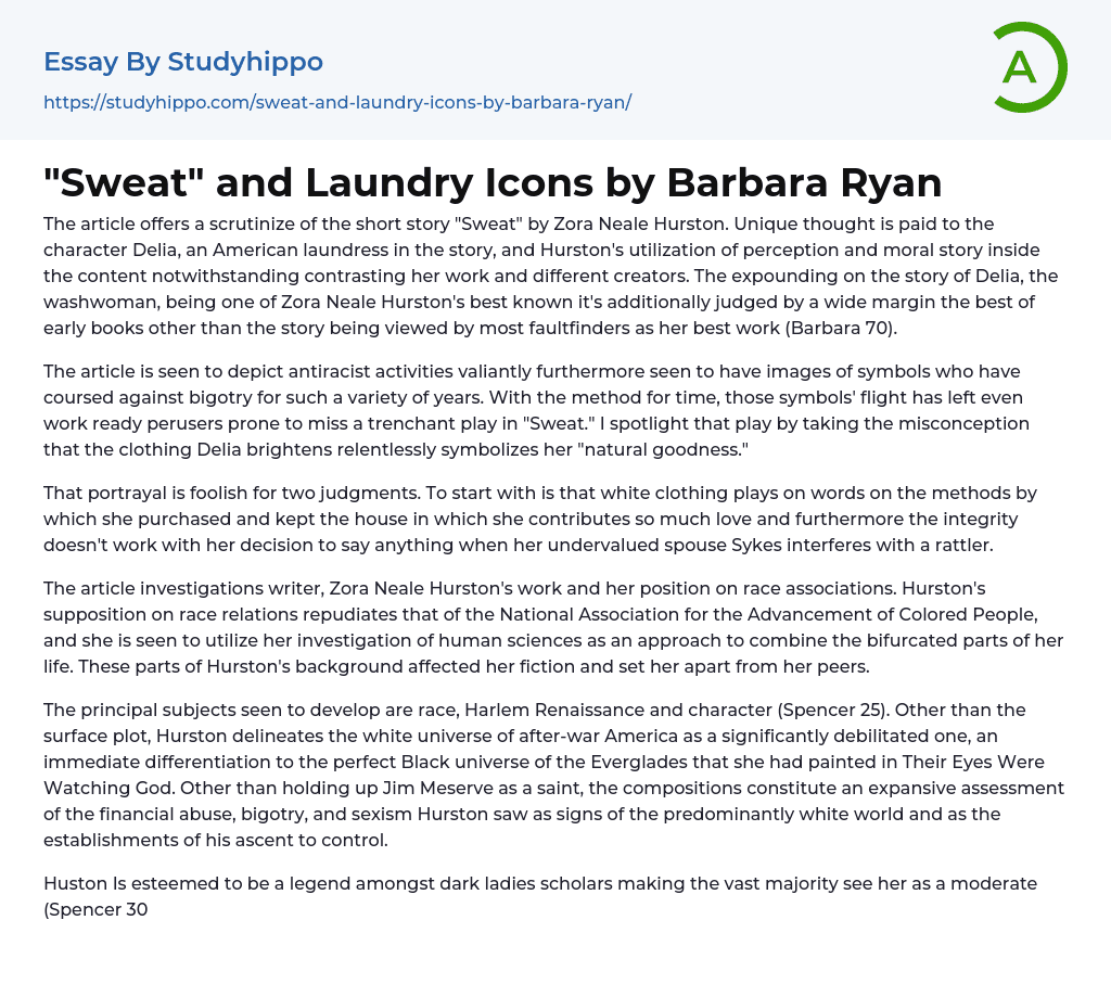 “Sweat” and Laundry Icons by Barbara Ryan Essay Example