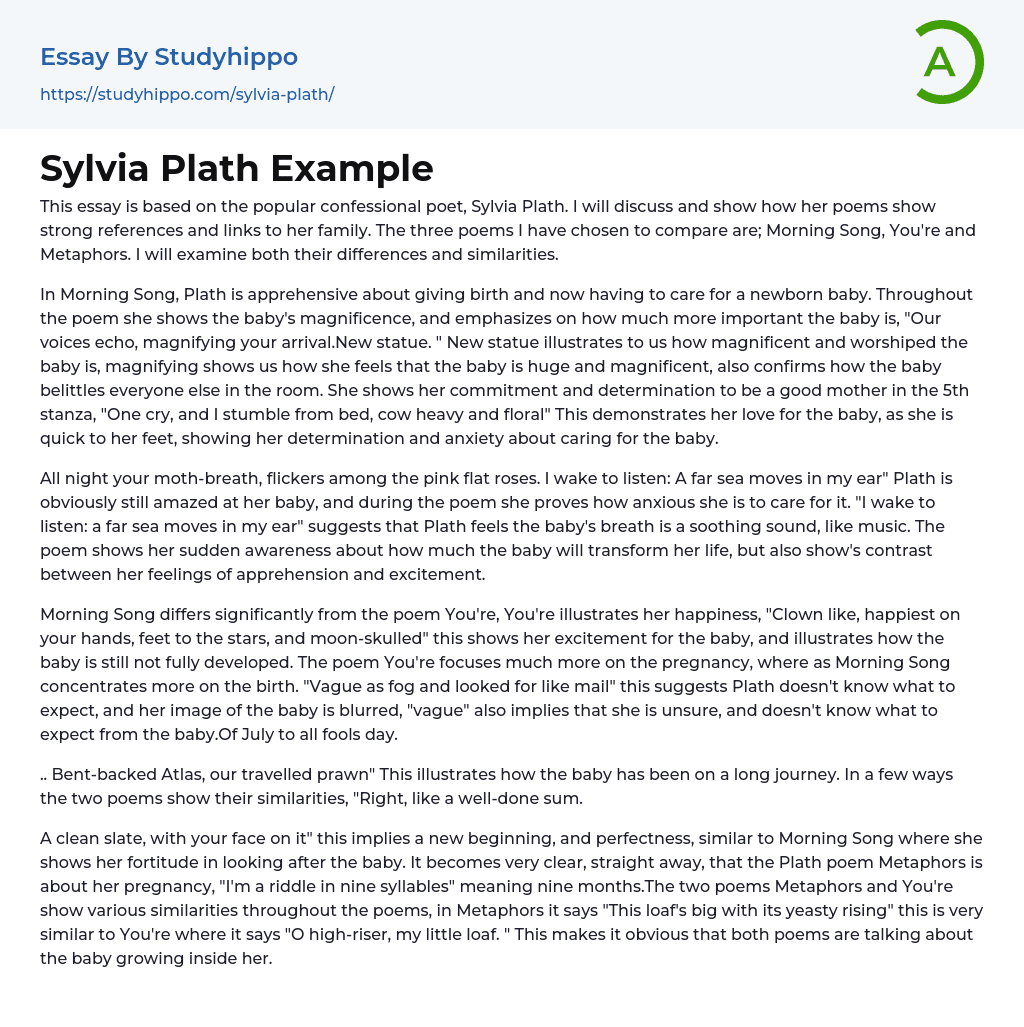 Sylvia Plath Example Essay Example