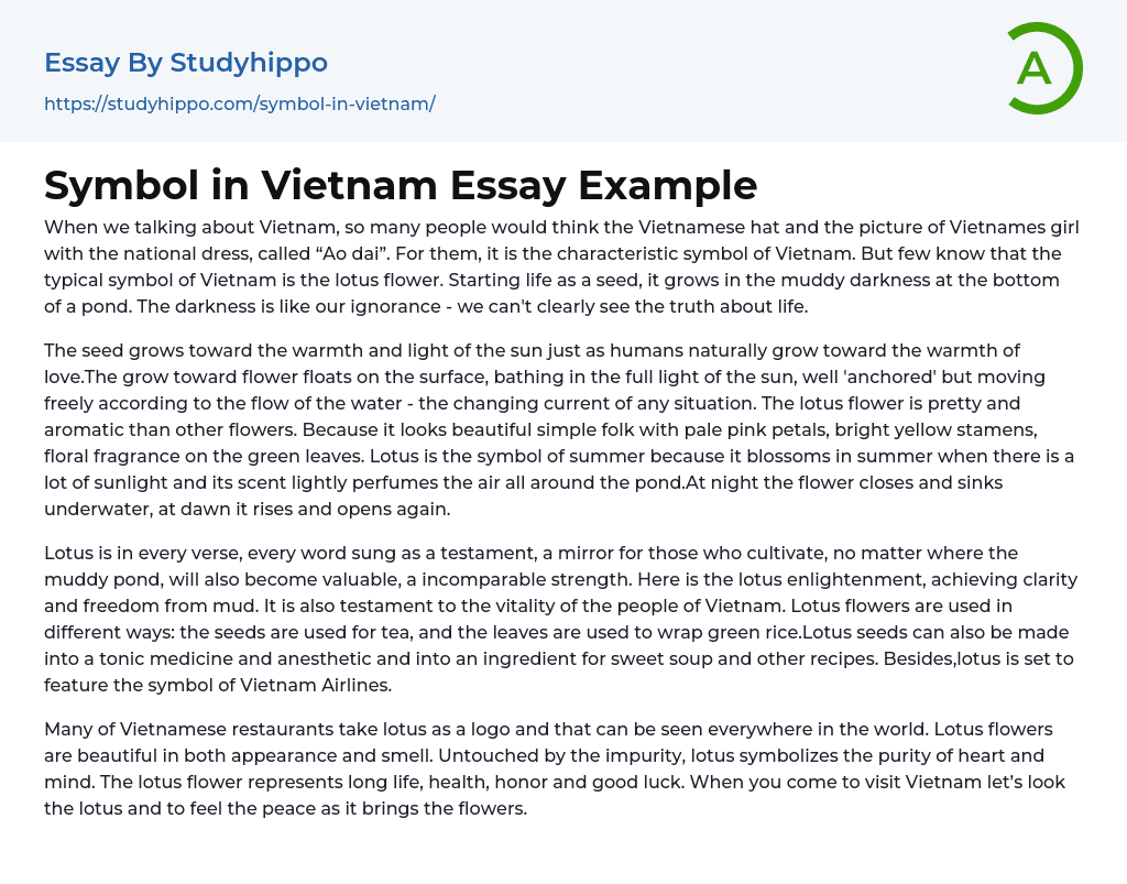Symbol in Vietnam Essay Example