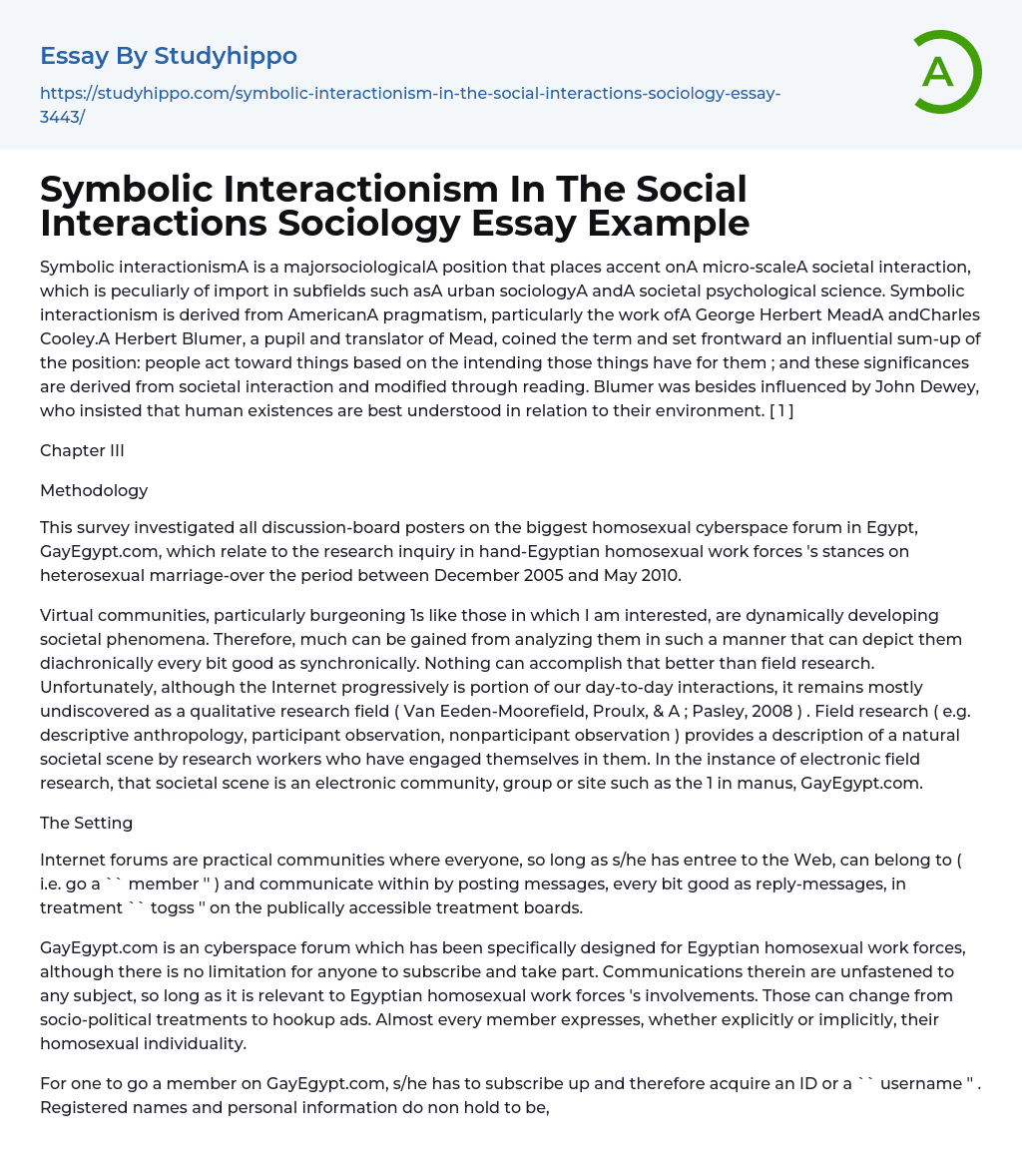 Symbolic Interactionism In The Social Interactions Sociology Essay Example