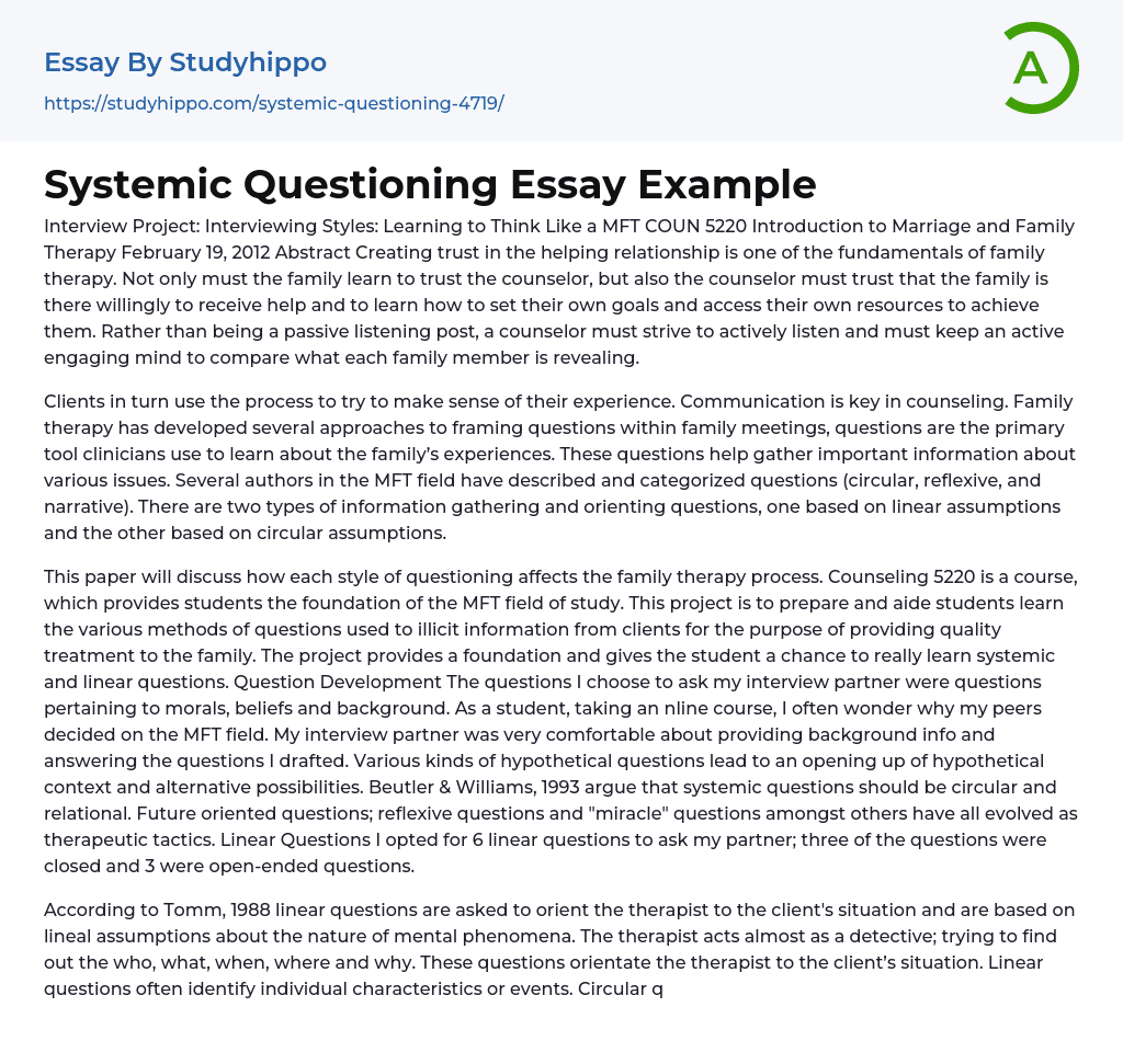 Systemic Questioning Essay Example