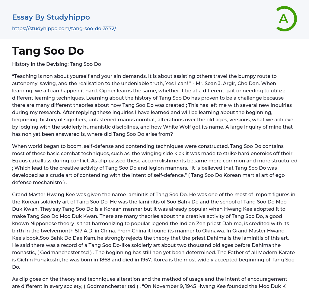 Tang Soo Do Essay Example
