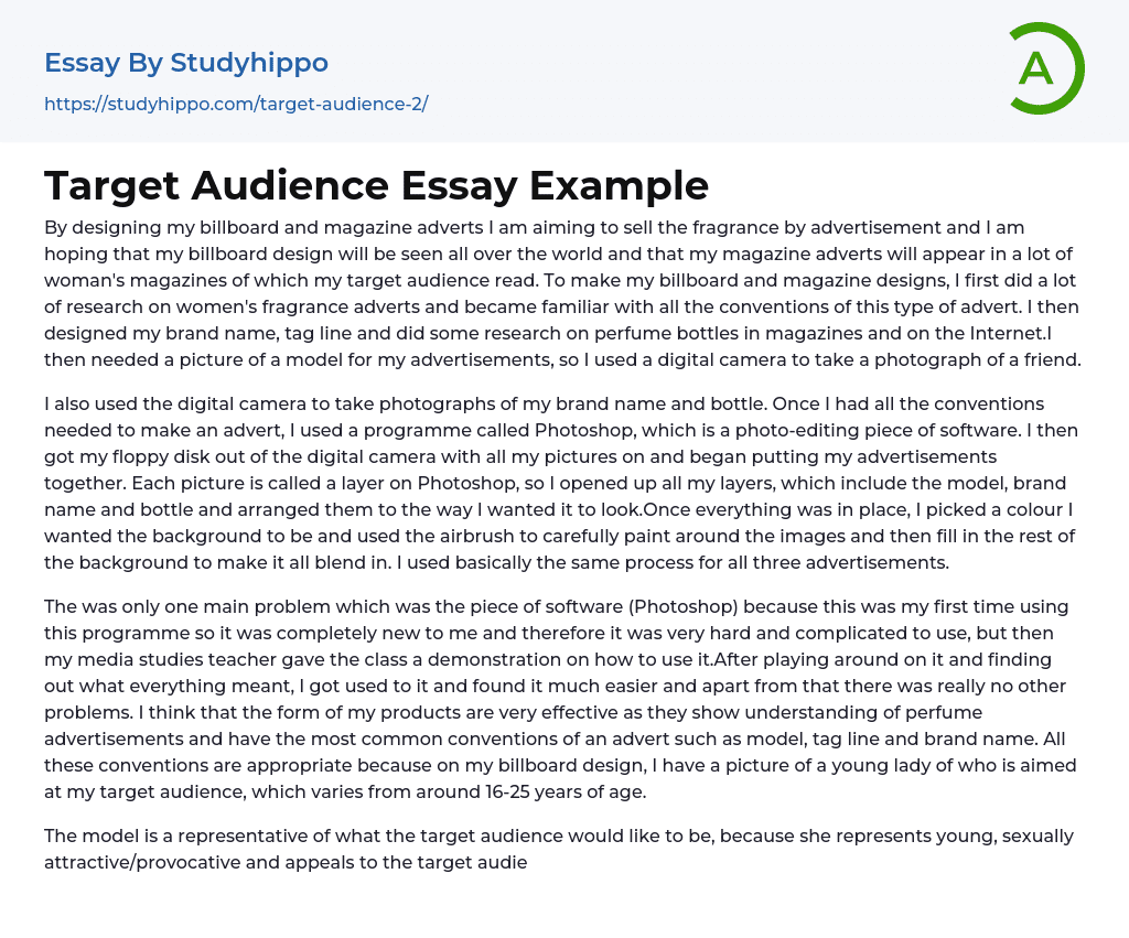 Target Audience Essay Example