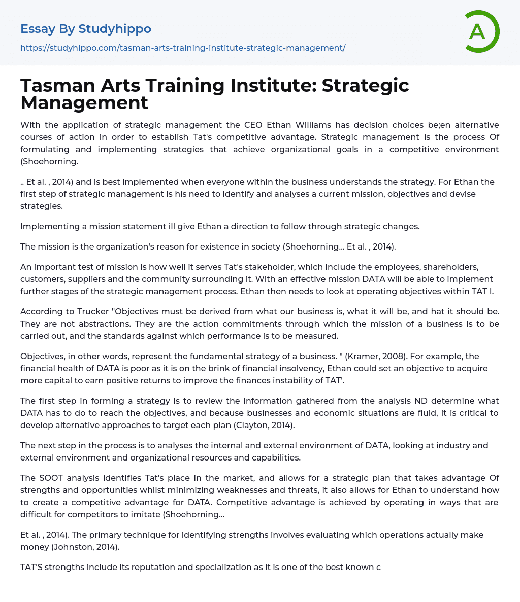 Tasman Arts Training Institute: Strategic Management Essay Example