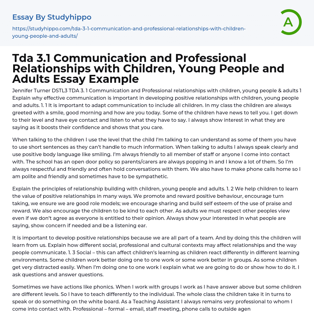 Communication and Professional Relationships with Children, Young People and Adults Essay Example