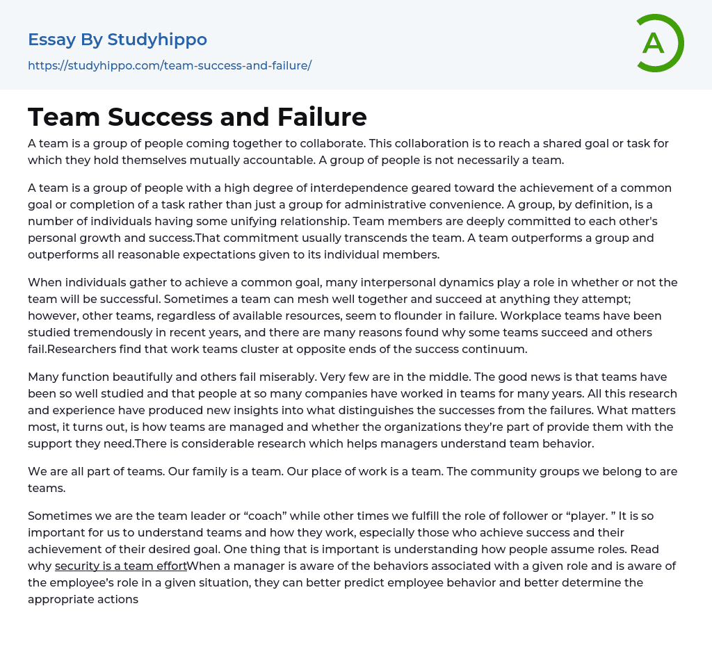 Team Success and Failure Essay Example