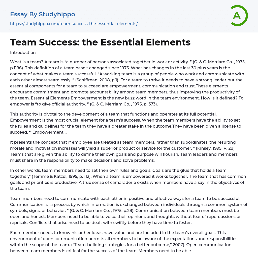 Team Success: the Essential Elements Essay Example