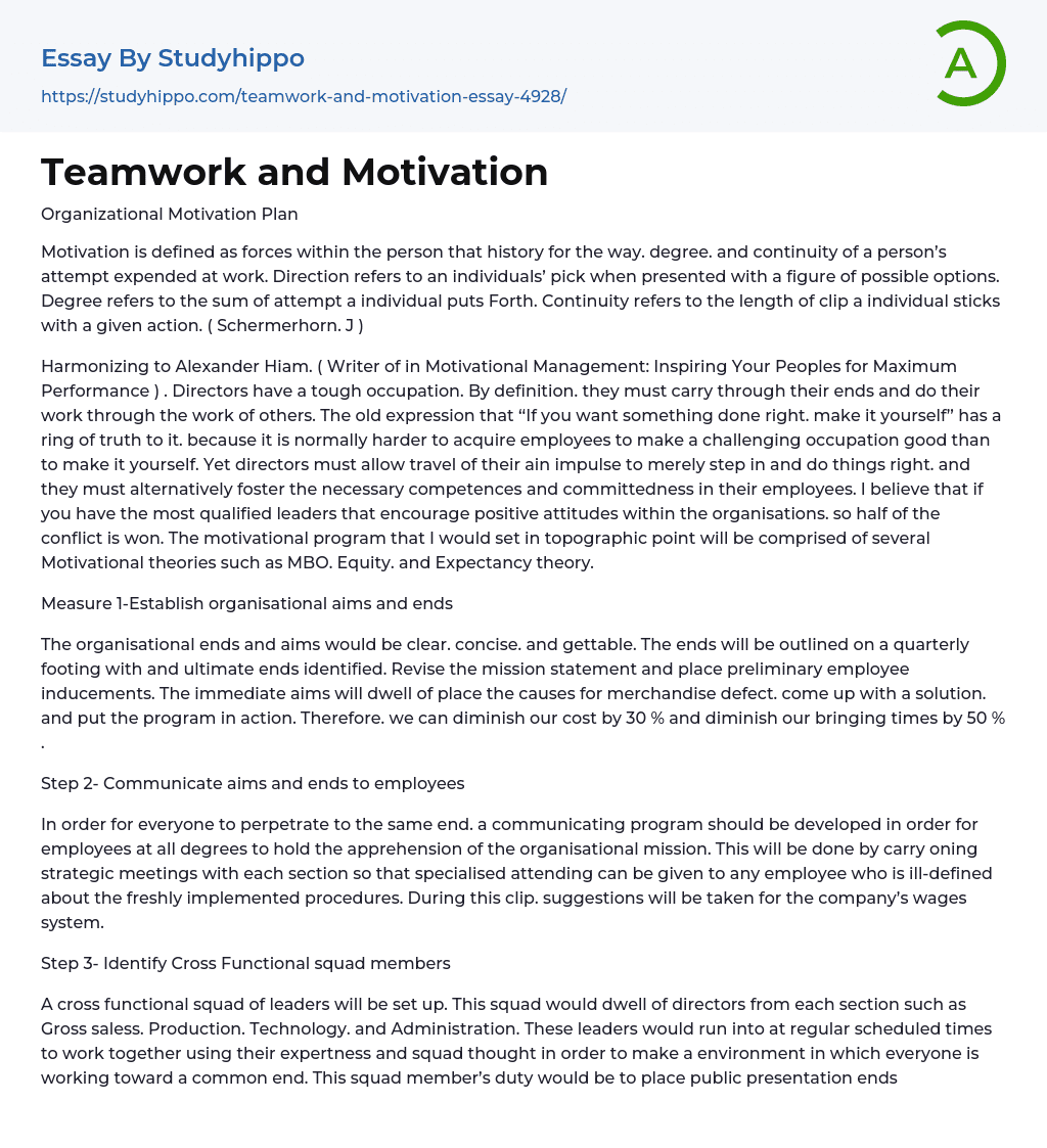 Teamwork and Motivation Essay Example