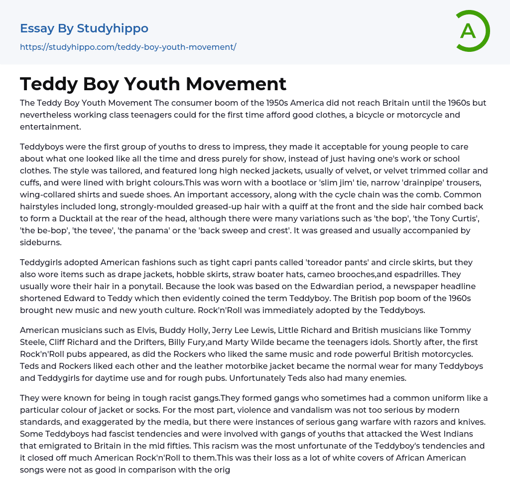 Teddy Boy Youth Movement Essay Example