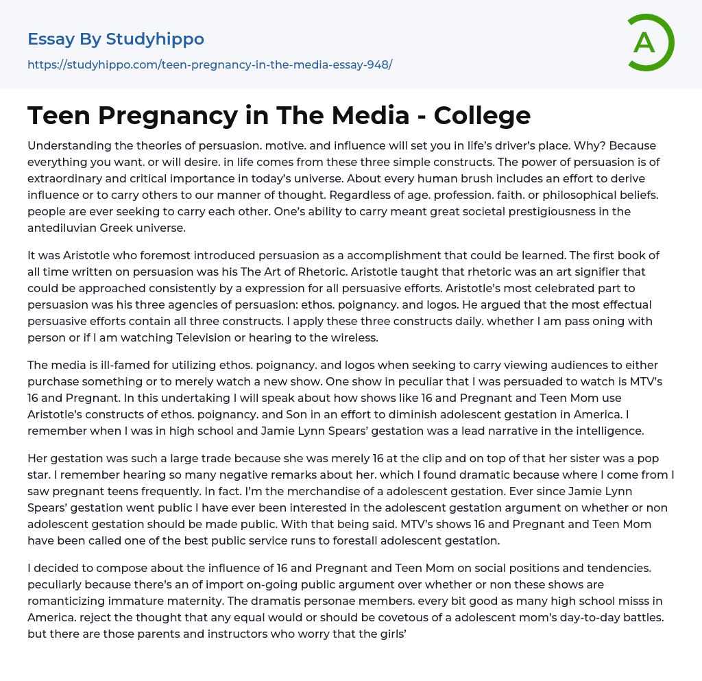 Teen Pregnancy in The Media – College Essay Example