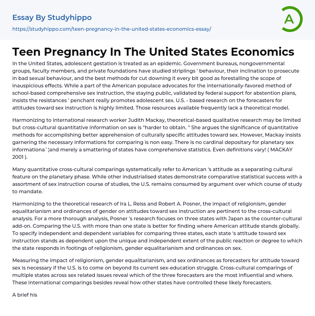 Teen Pregnancy In The United States Economics Essay Example