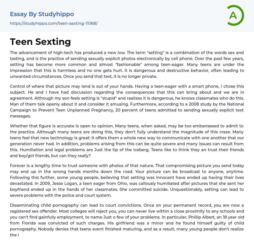 Teen Sexting Essay Example
