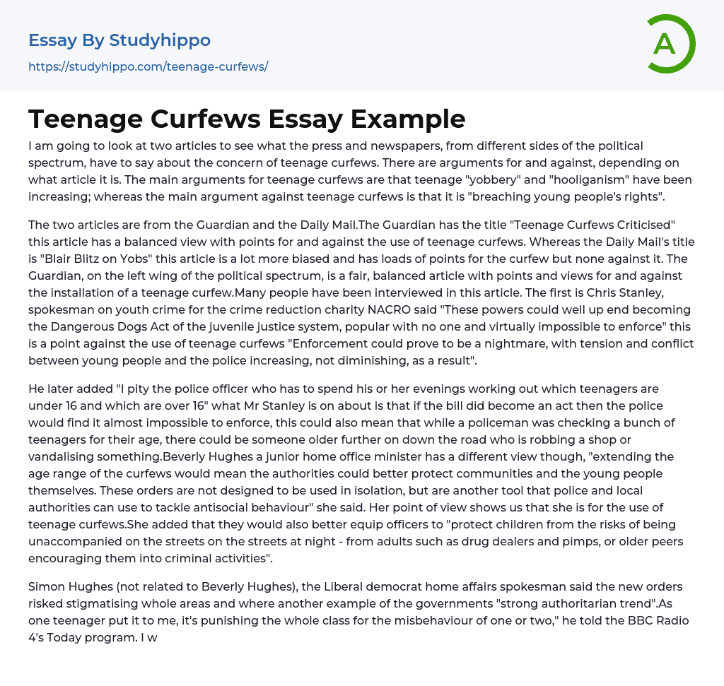 Teenage Curfews Essay Example