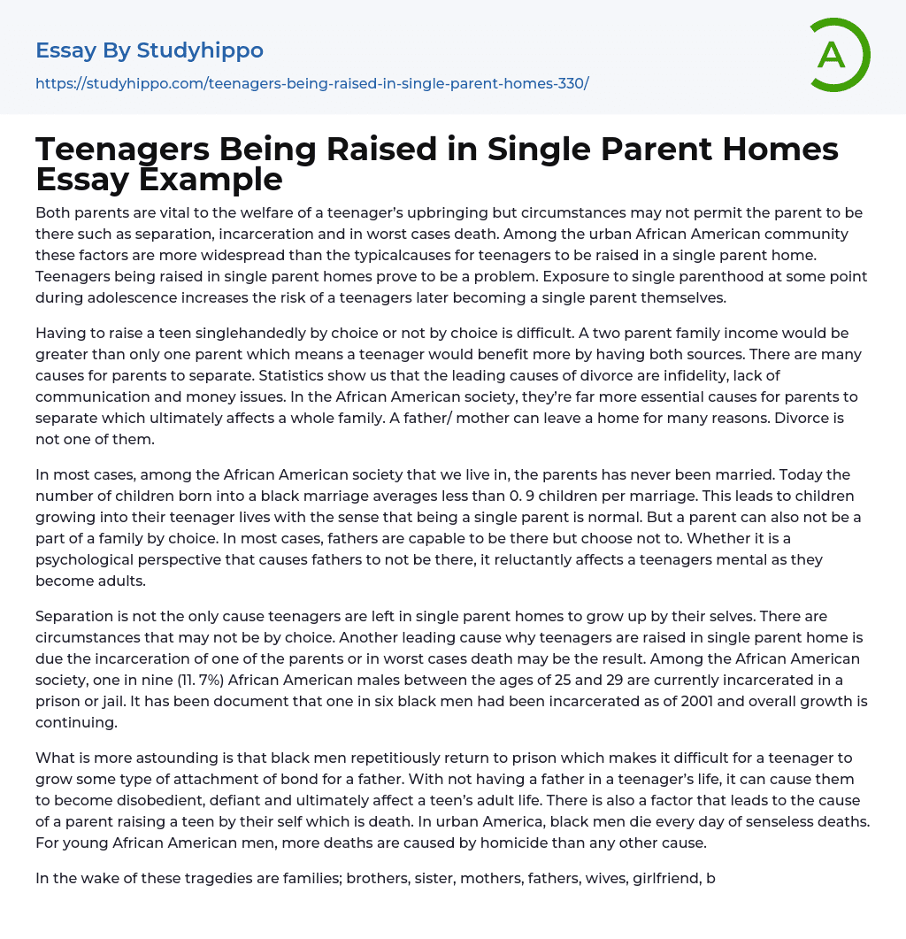 Teenagers Being Raised in Single Parent Homes Essay Example