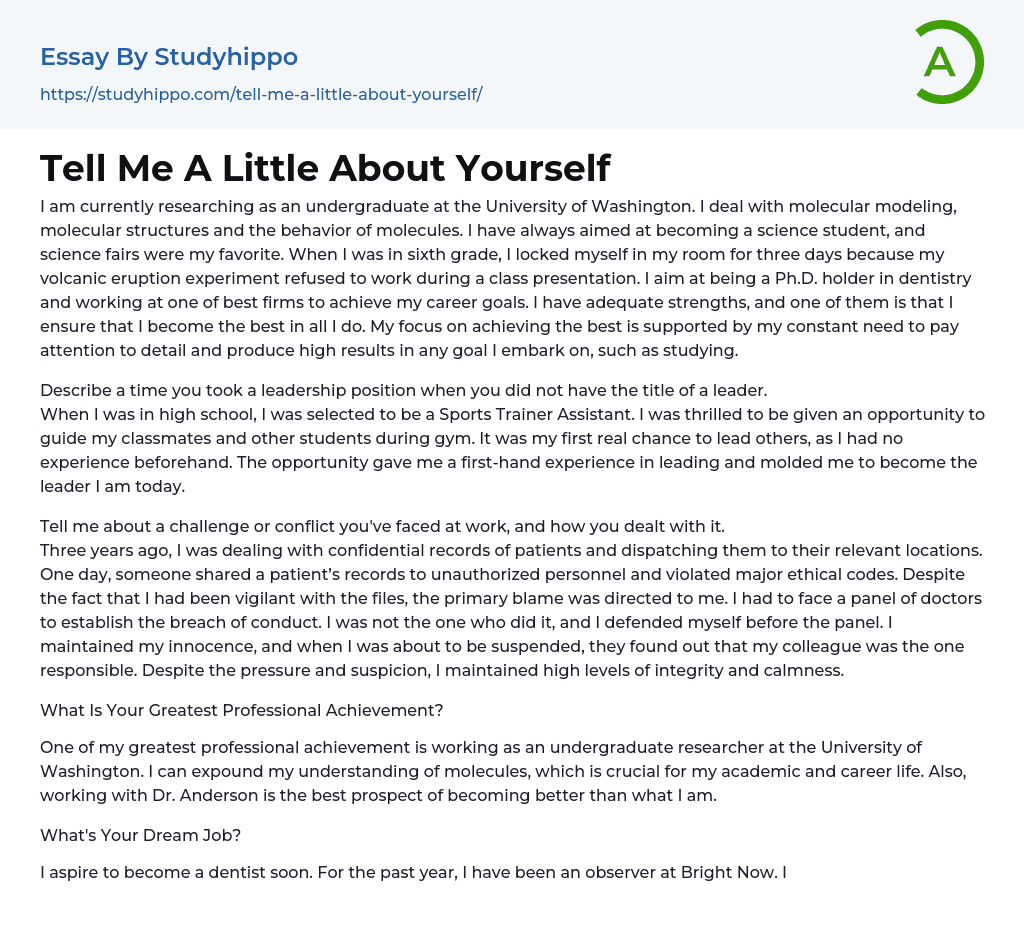 Tell Me A Little About Yourself Essay Example