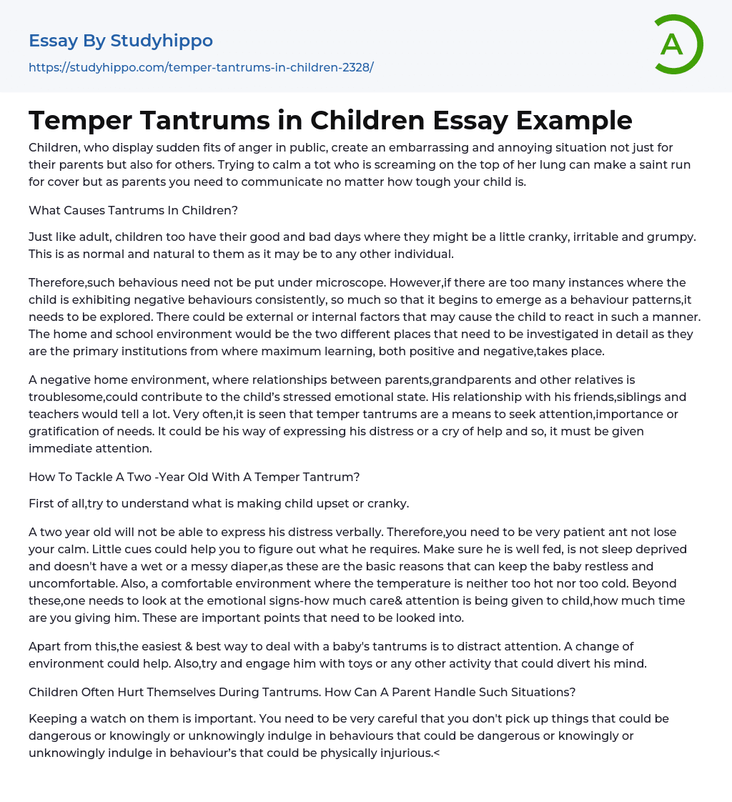Temper Tantrums in Children Essay Example