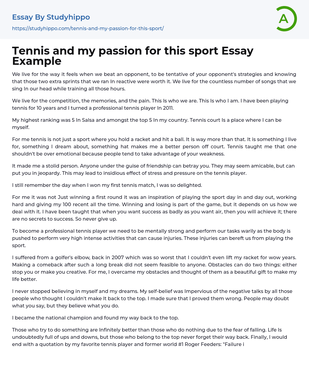 Tennis and my passion for this sport Essay Example