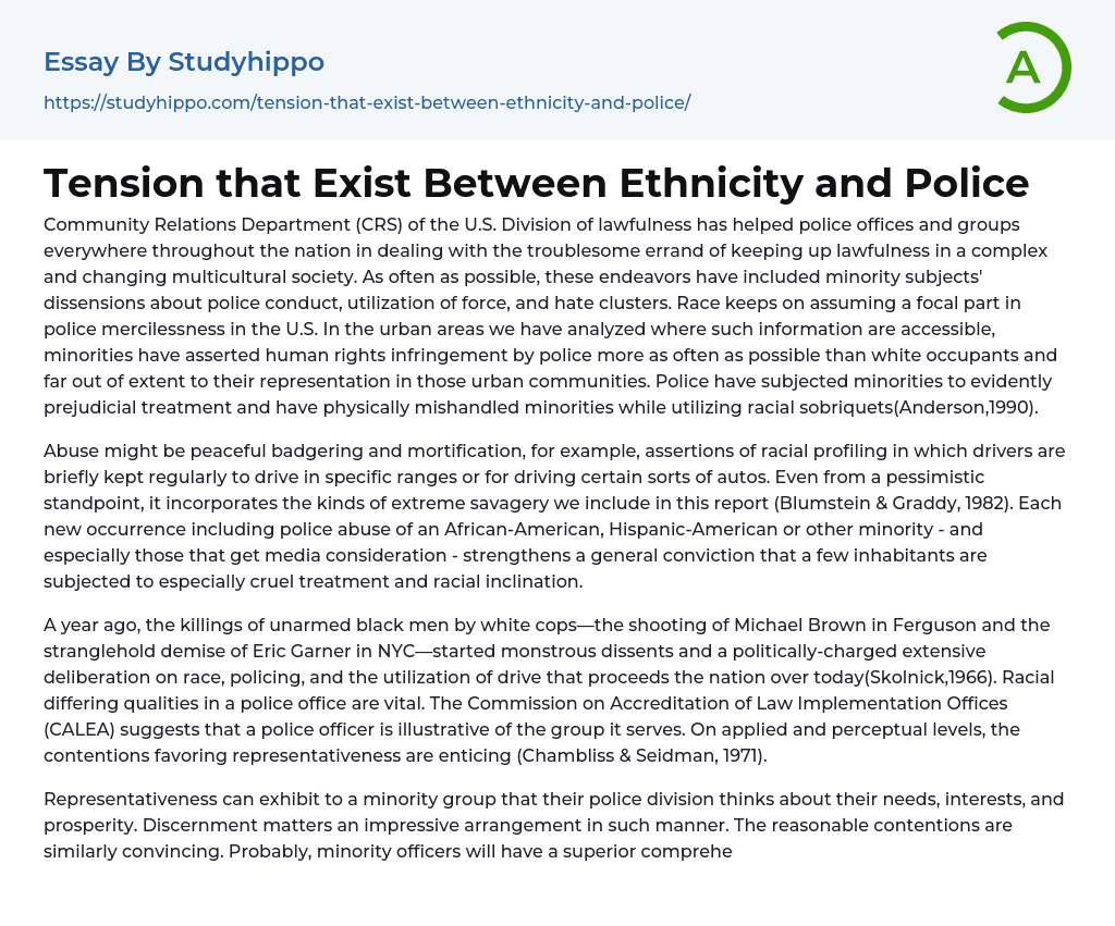 Tension that Exist Between Ethnicity and Police Essay Example