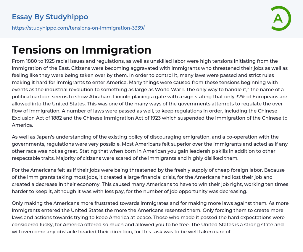 Tensions on Immigration Essay Example