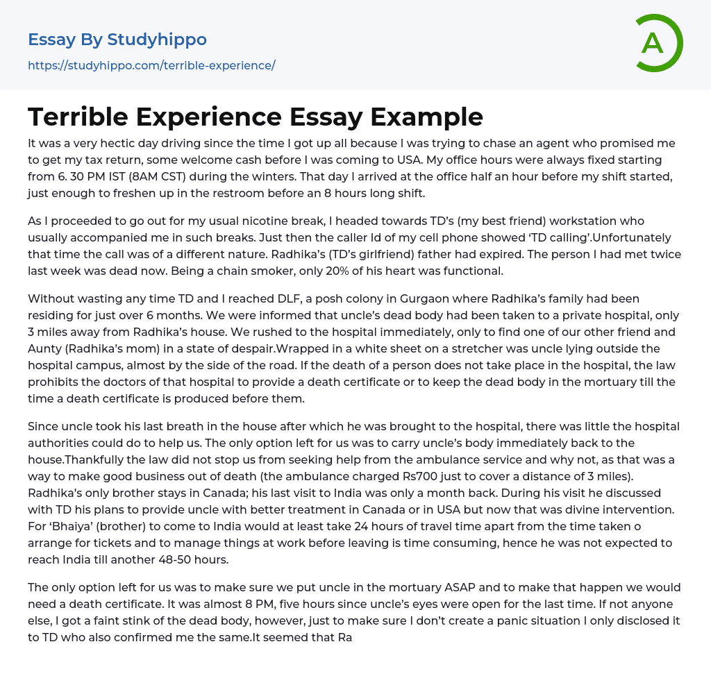 Terrible Experience Essay Example