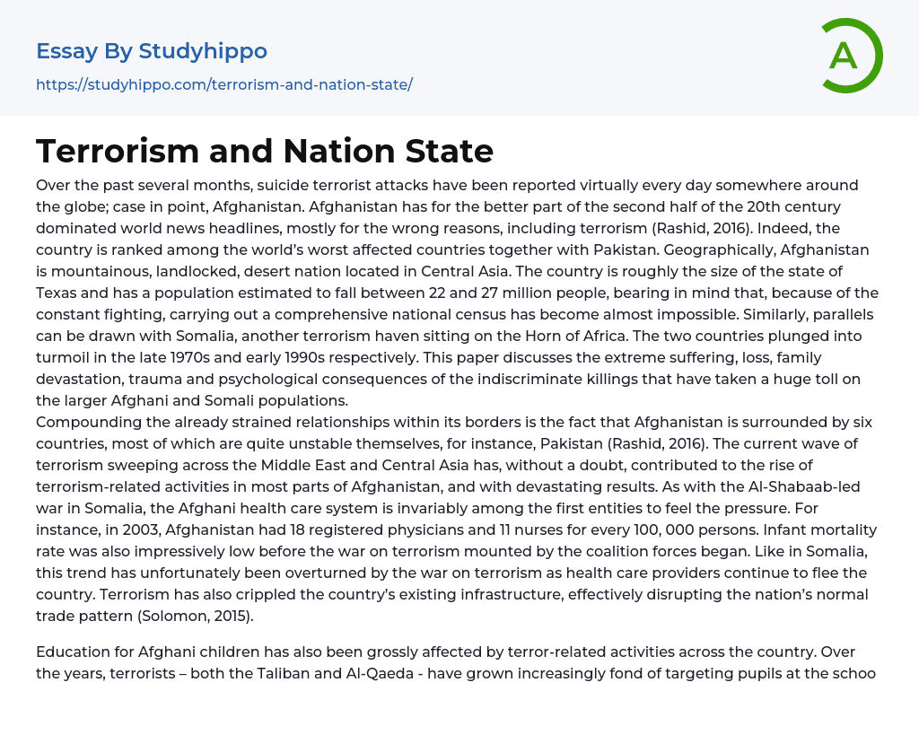 Terrorism and Nation State Essay Example