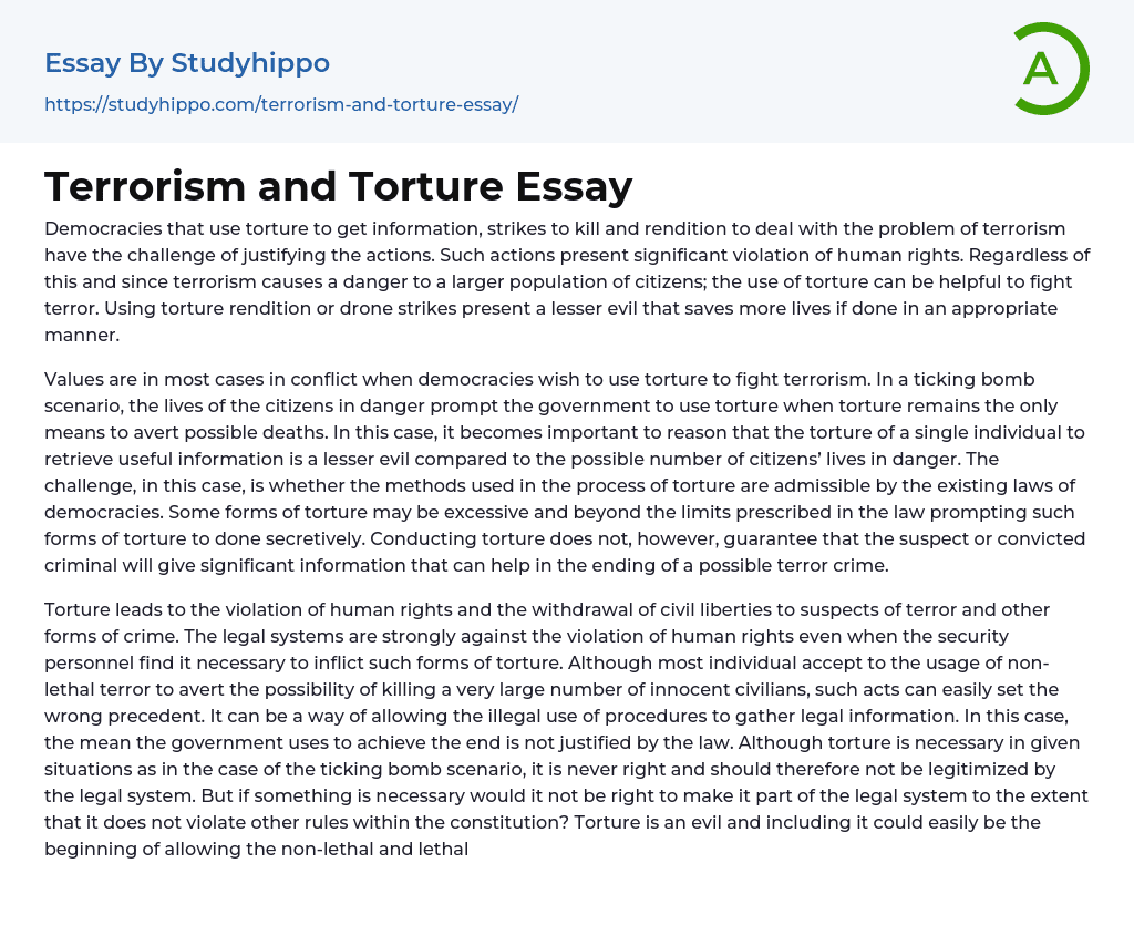 Terrorism and Torture Essay
