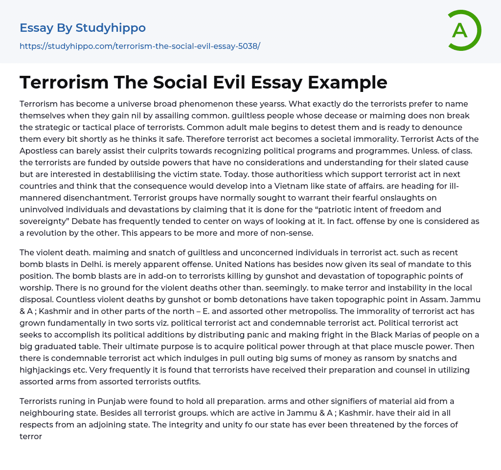 Terrorism The Social Evil Essay Example