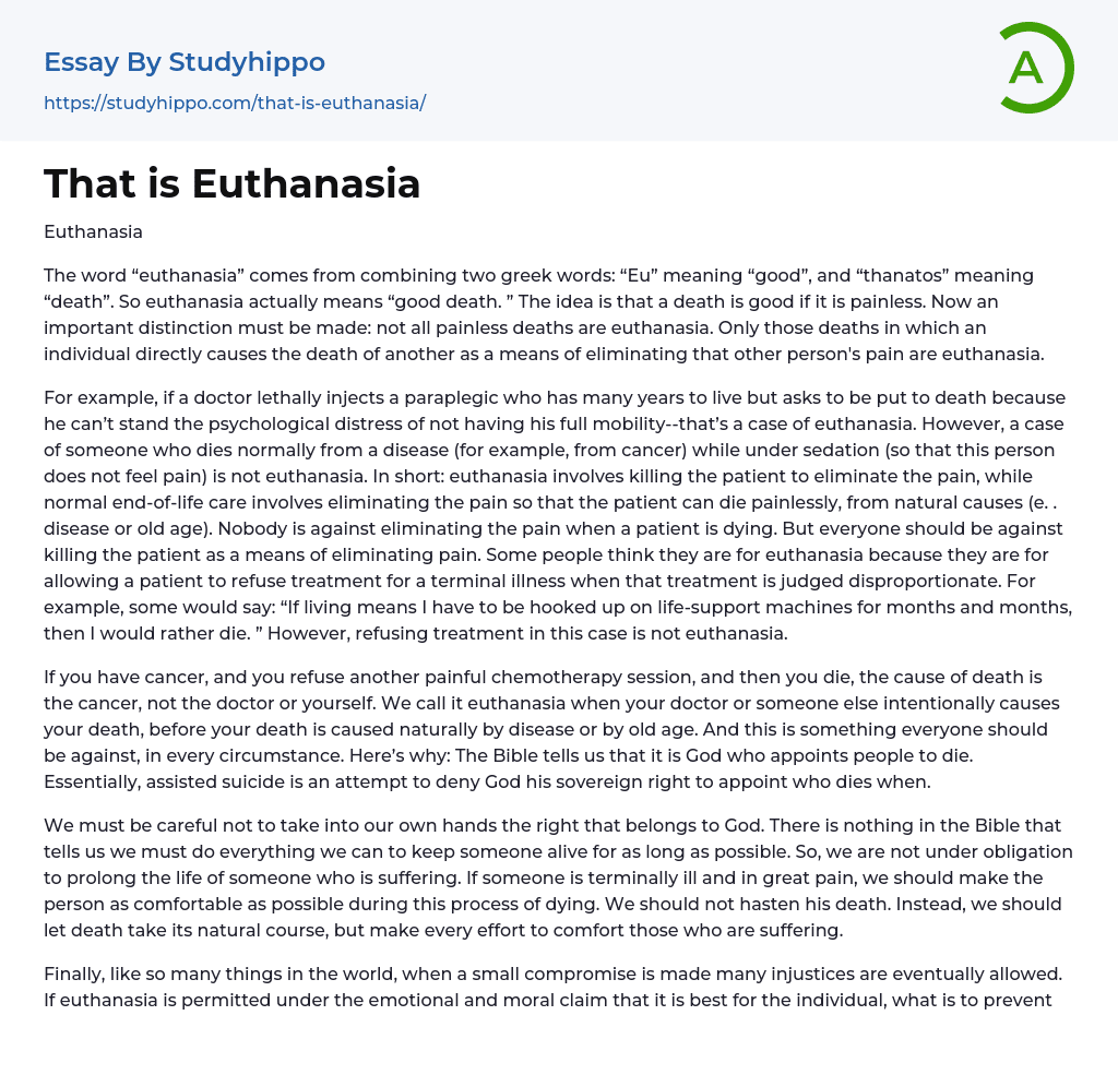 That is Euthanasia Essay Example