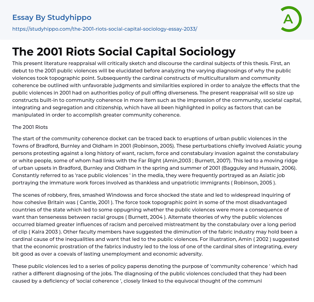 The 2001 Riots Social Capital Sociology Essay Example