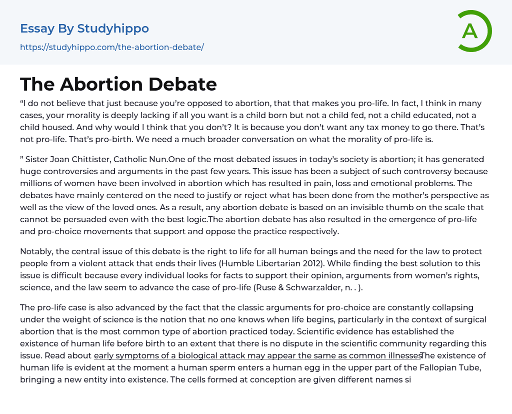 The Abortion Debate Essay Example