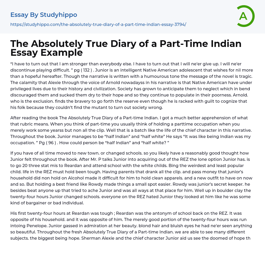 The Absolutely True Diary of a Part-Time Indian Essay Example