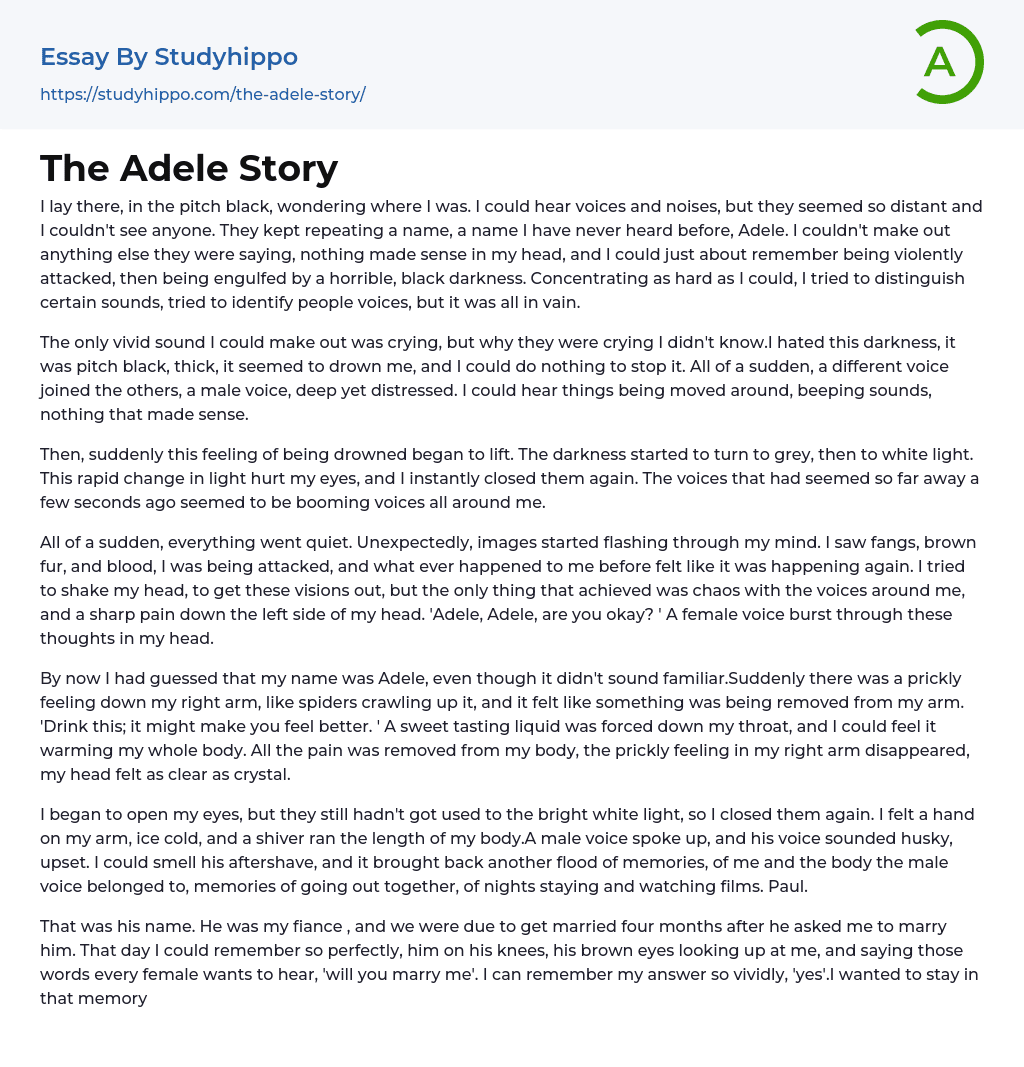 The Adele Story Essay Example