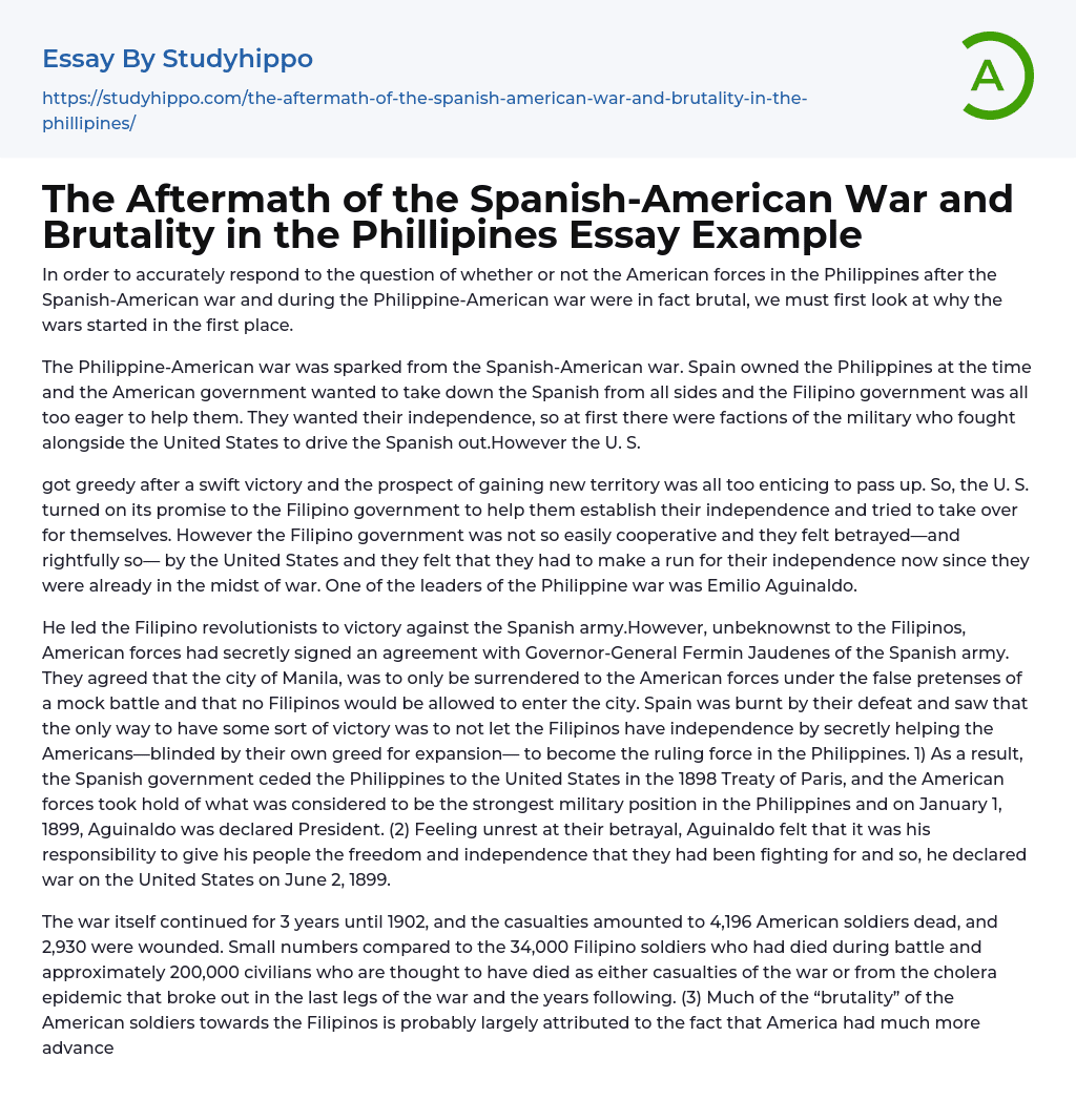 The Aftermath of the Spanish-American War and Brutality in the Phillipines Essay Example