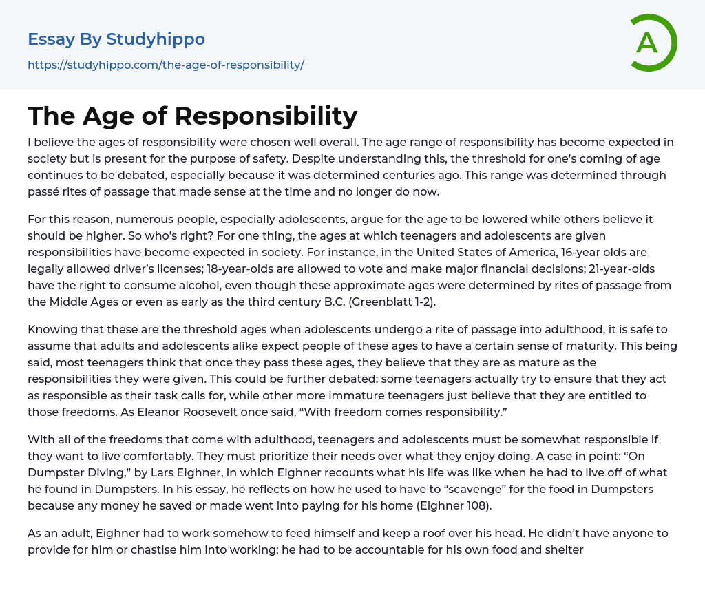 The Age of Responsibility Essay Example