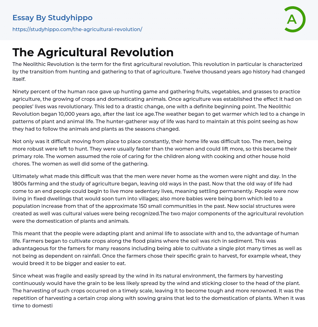 The Agricultural Revolution Essay Example