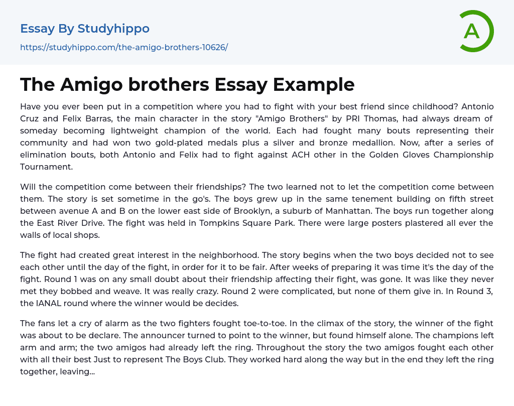 The Amigo brothers Essay Example