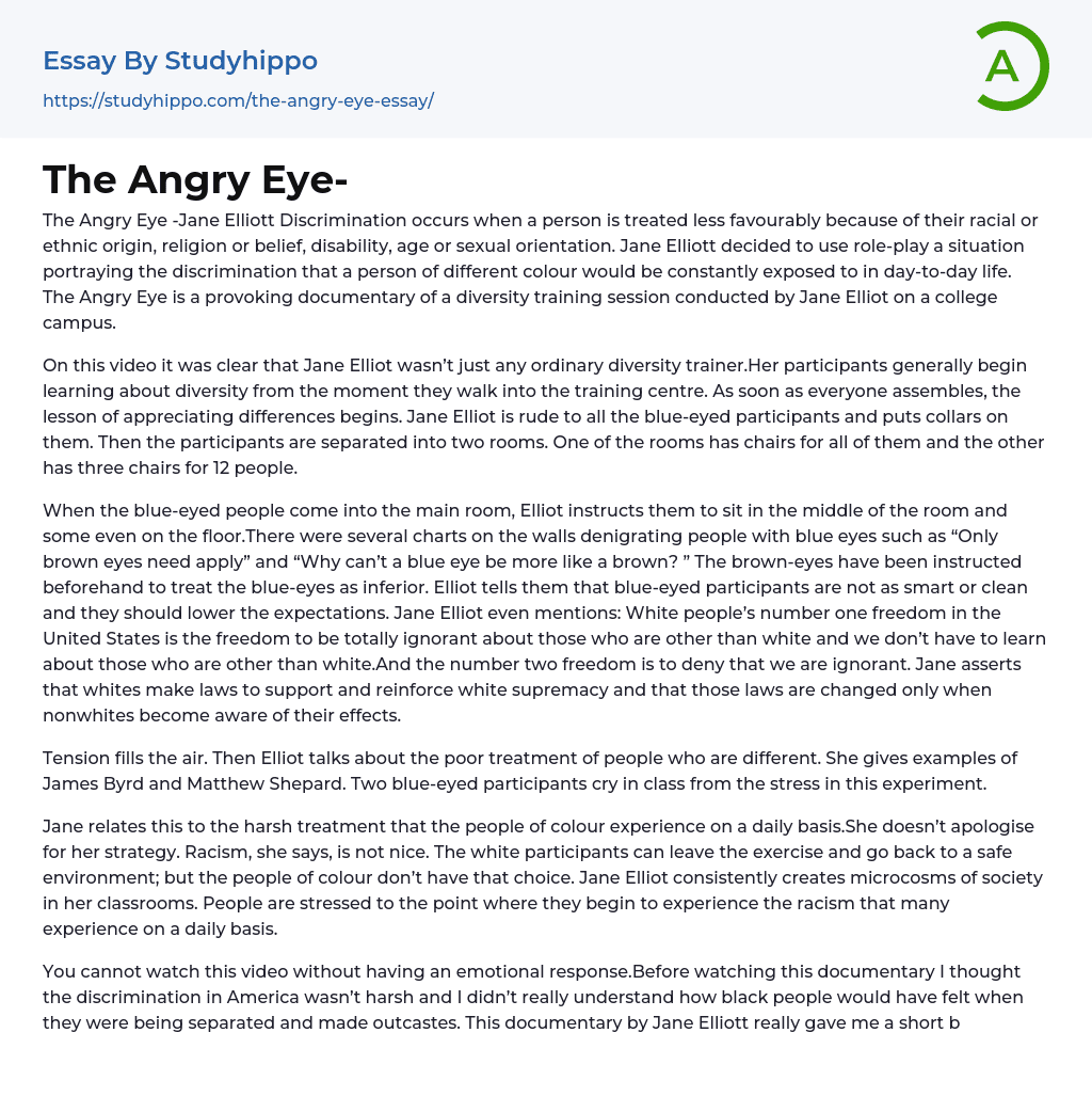 The Angry Eye- Essay Example