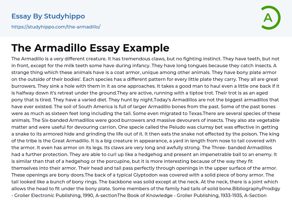 The Armadillo Essay Example