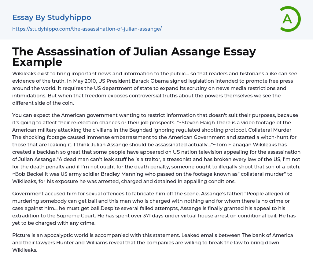 The Assassination of Julian Assange Essay Example