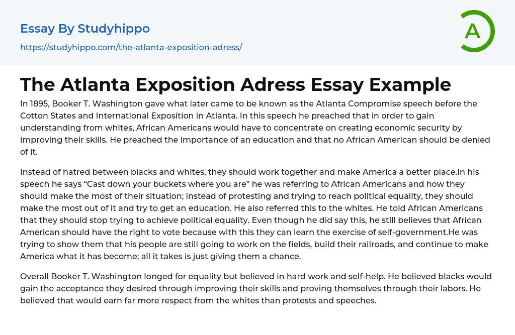 The Atlanta Exposition Adress Essay Example