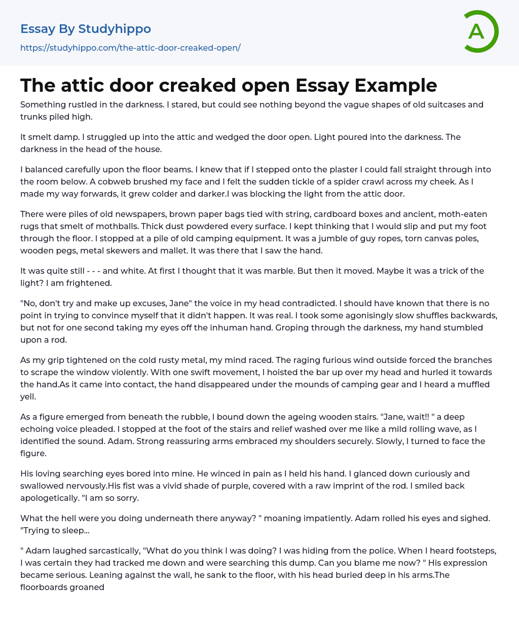 The attic door creaked open Essay Example