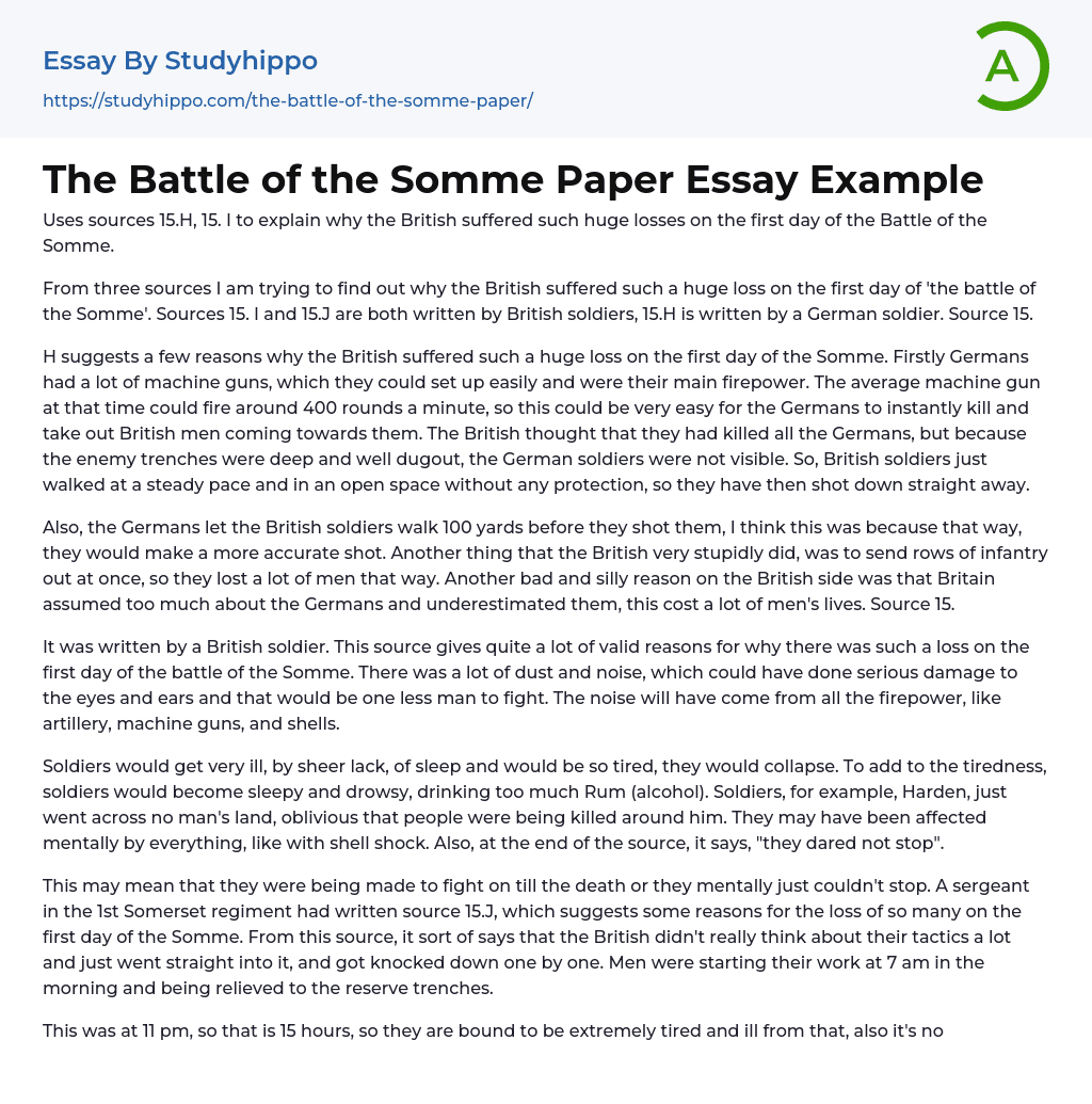 The Battle of the Somme Paper Essay Example